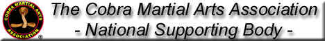 Cobra Martial arts logo