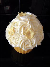 NEO and NEON Nunchaku speedcord logo